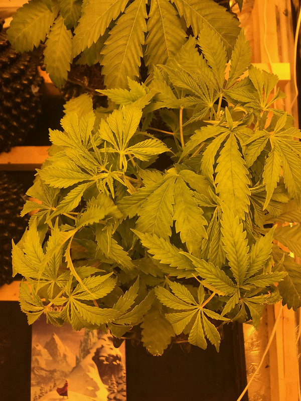 1FD406D4-3AB5-49C0-8E51-E0A4F027AC0F