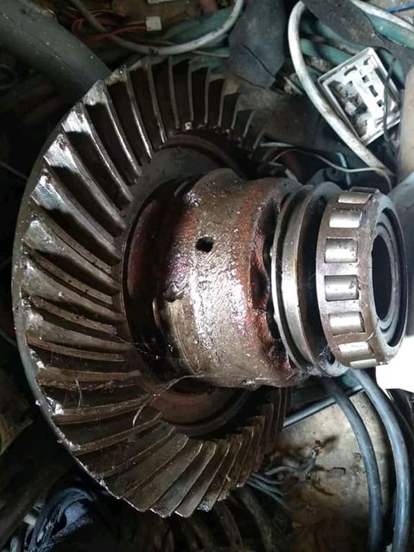 FB_IMG_15568072911527603