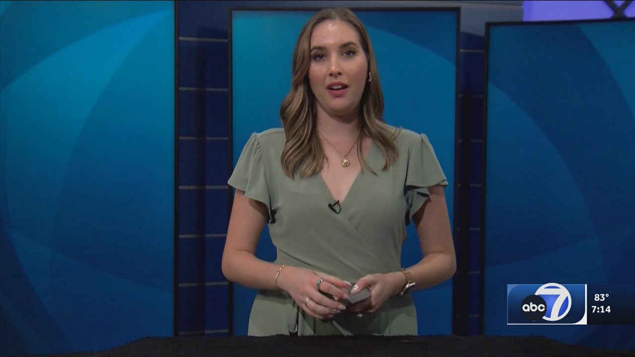 06.13 - 00.00.00 - ABC7 7O'Clock News  ᴺᵉʷ. No Description Info.ts_snapshot_16.21.455