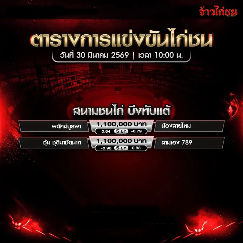 โปรแกรมไก่ชน สนามชนไก่บึงทับแต้ วันจันทร์ที่ 30 มีนาคม 2569