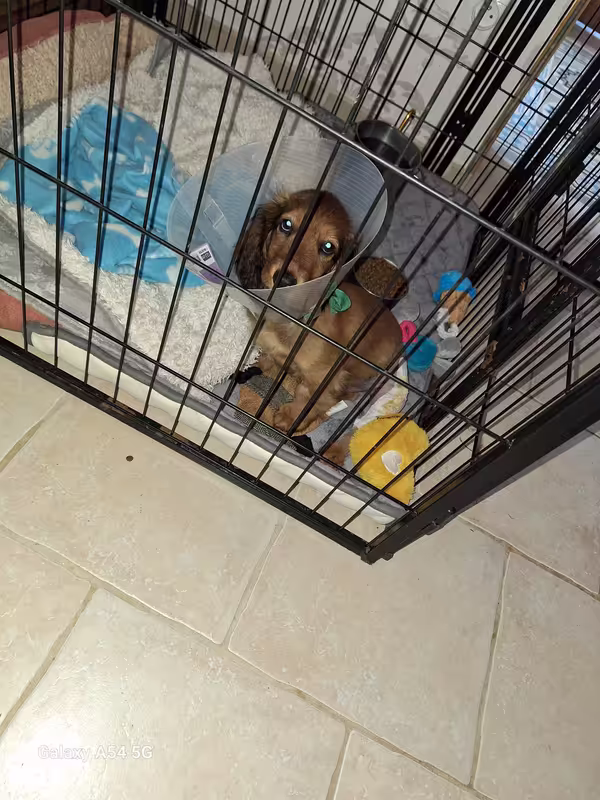 [Image: 20240912-090842.avif]