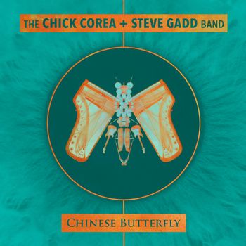 Chinese Butterfly (2018)