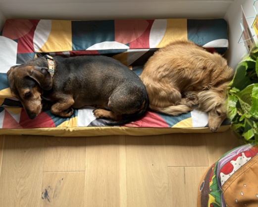 [Image: IMG-1475.jpg]