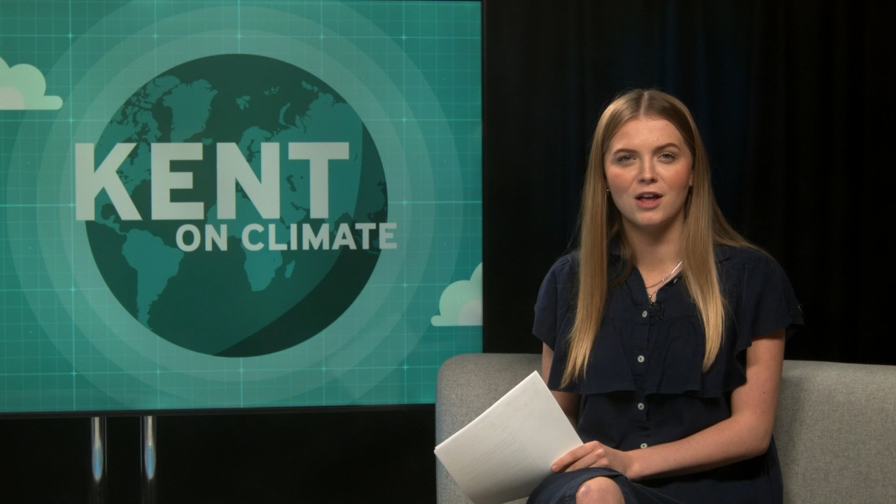 kent-on-climate-wednesday-30th-november-2022-freedownloadvideo.net.mp4_snapshot_26.24.000