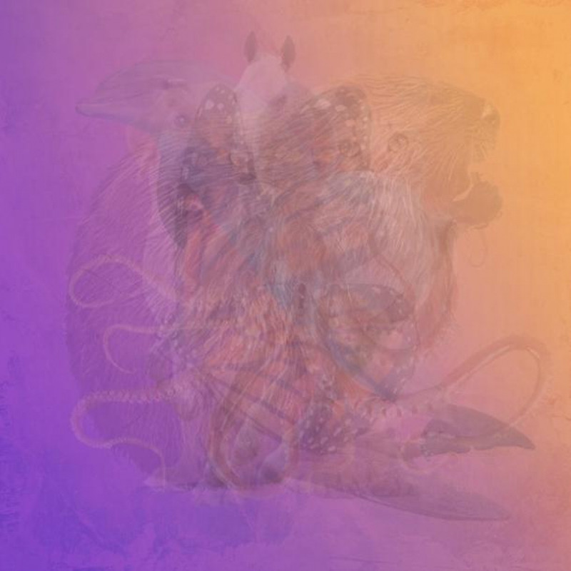 Reto viral: ¿Puedes ver los 6 animales escondidos en esta ilusión óptica?