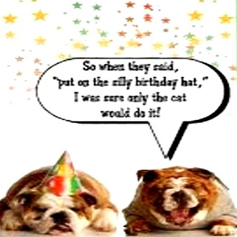 Funny-Dog-Birthday