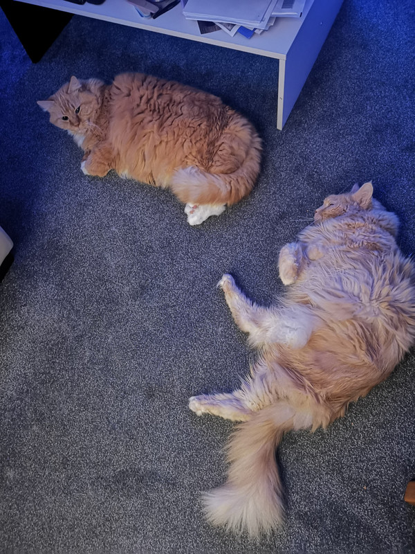 IMG-20191209-190715.jpg