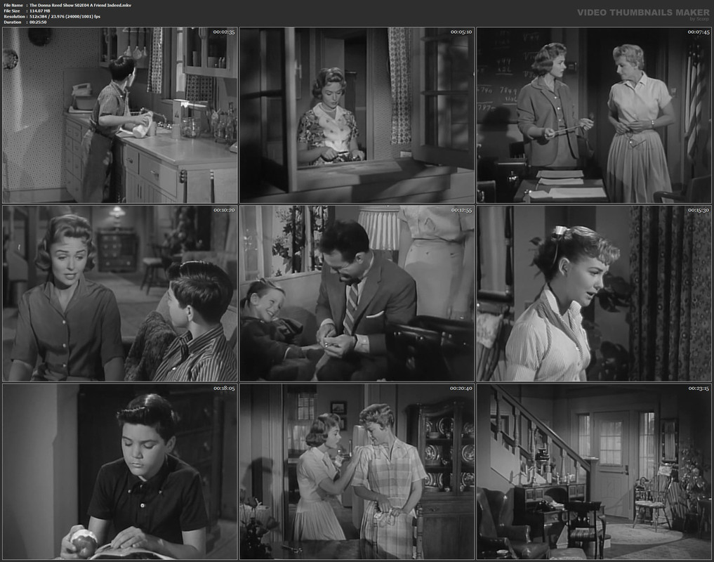The Donna Reed Show S02E04 A Friend Indeed.mkv