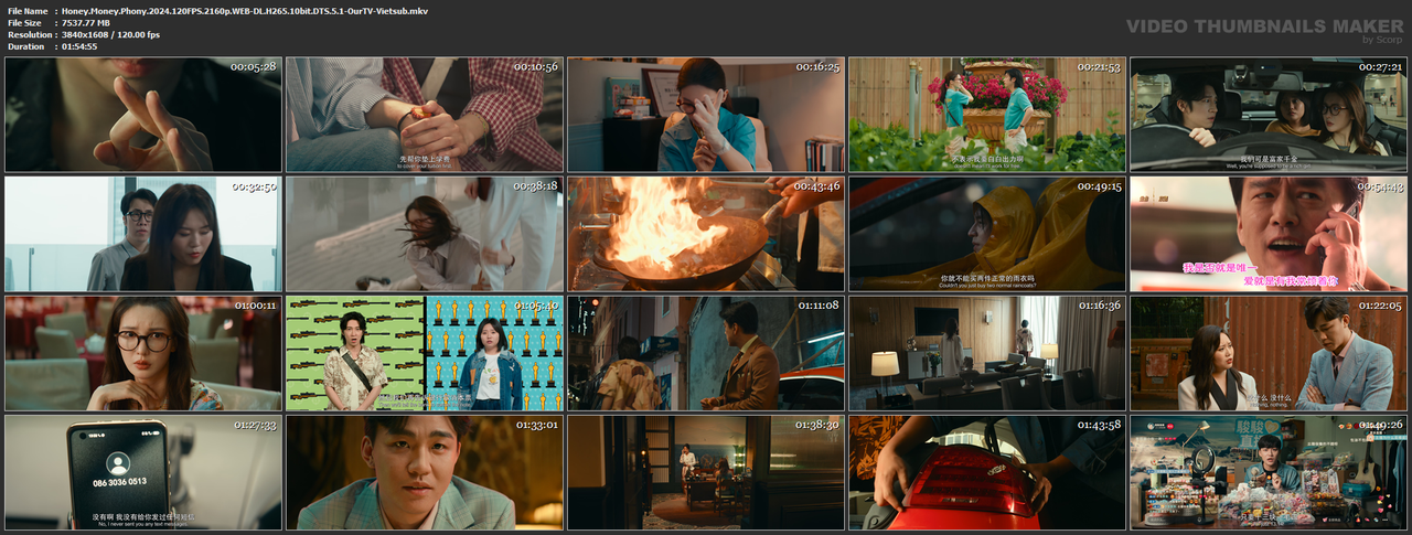 Honey.Money.Phony.2024.120FPS.2160p.WEB-DL.H265.10bit.DTS.5.1-OurTV-Vietsub.mkv