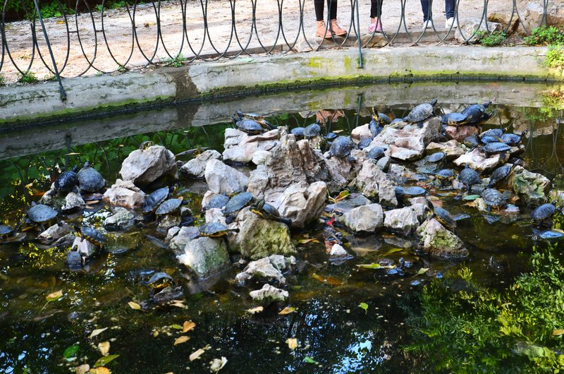 Atenas-18-11-2019 - Grecia y sus pueblos-2019 (143)