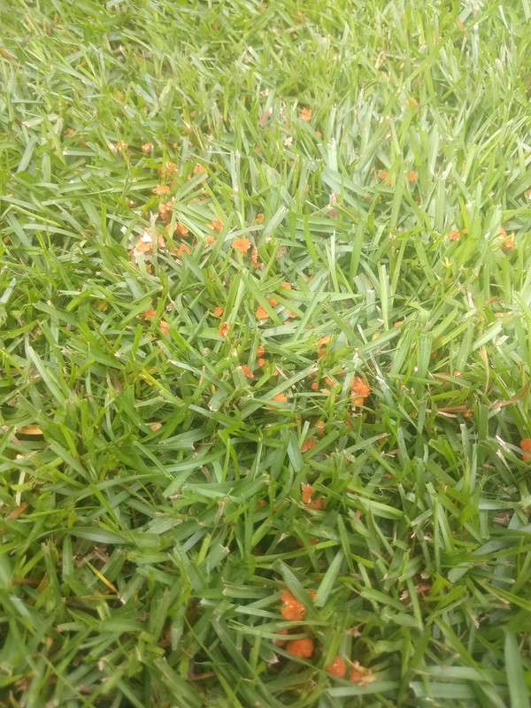 IMG_20200822_112634187