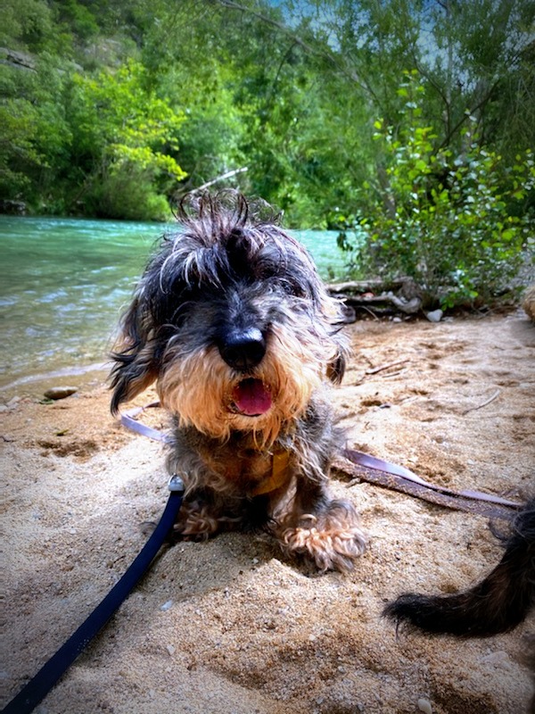 [Image: IMG-2145.jpg]