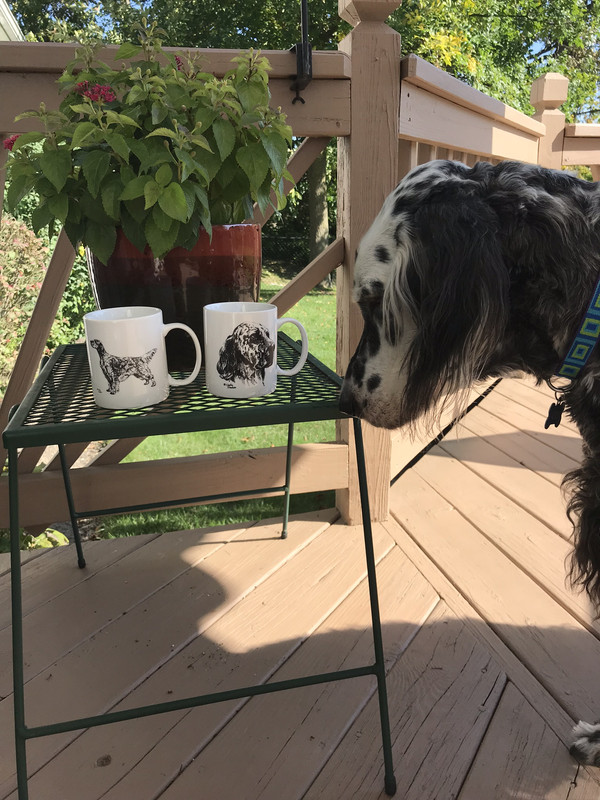 20ACEDA1-F656-4BE7-B452-13D12895985C