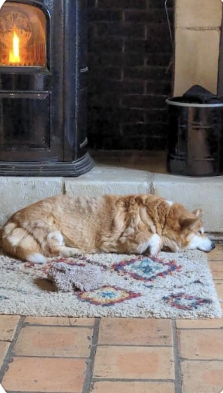 [Image: 32756-CCA-D554-4-ED1-A37-A-0-C5-FDDFC7-C43.jpg]