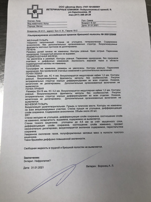 2A134012-021E-4069-AB98-F32B1513FD5A