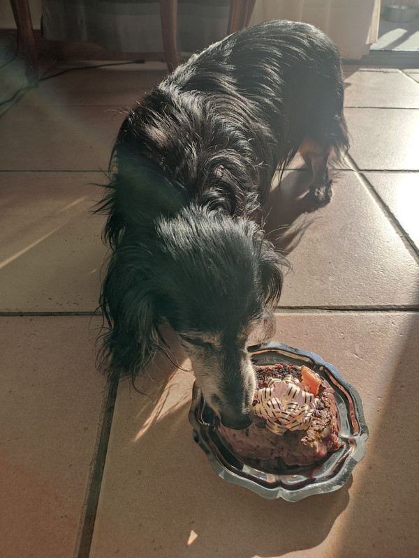 [Image: IMG-20250528-193235.jpg]