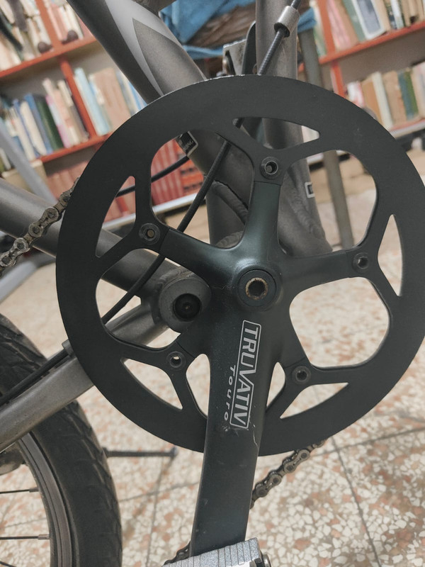 Whats App Image 2026 01 17 at 07 57 22