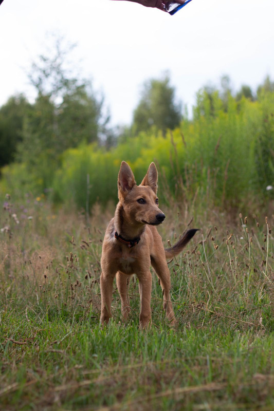 IMG-3b3910cc393573360b64bdf57a767e15-V