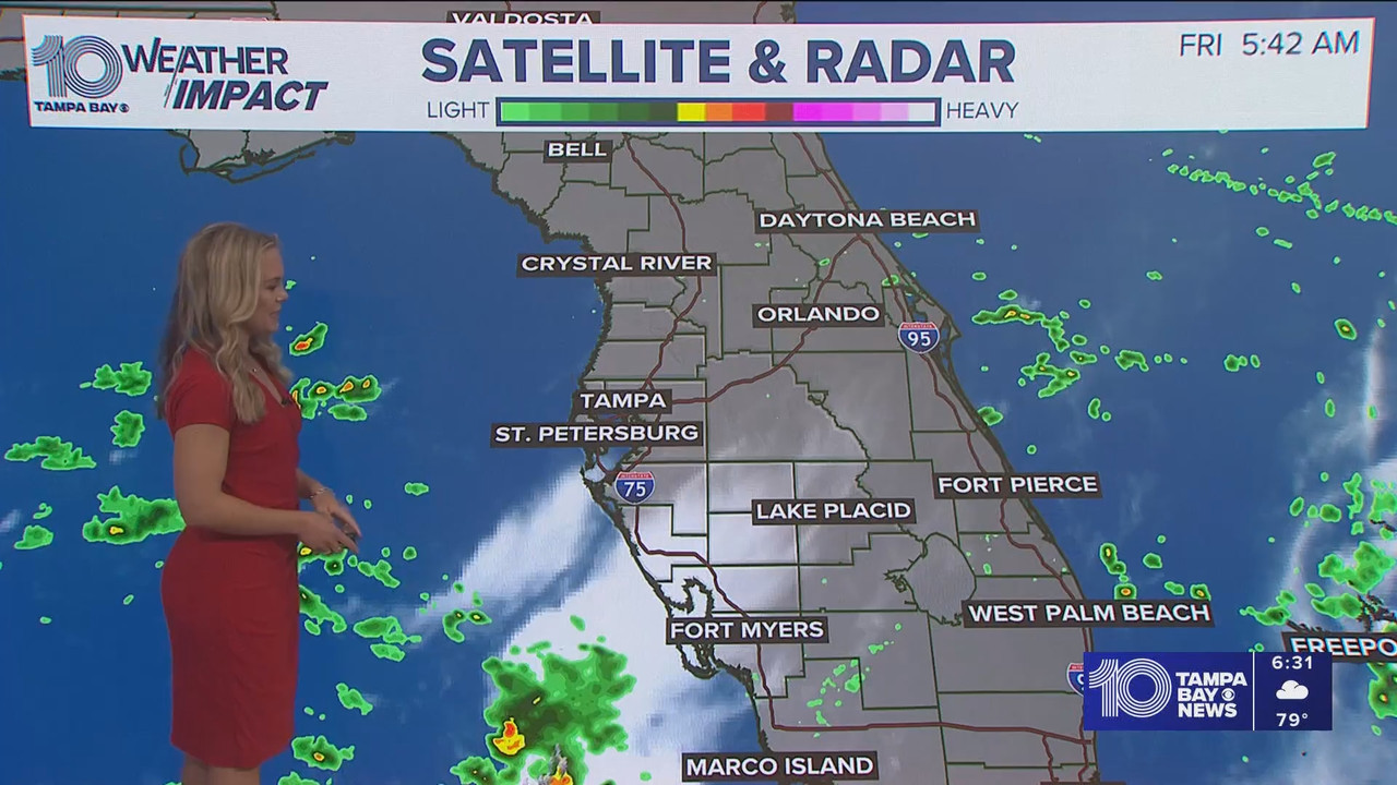 10 Tampa Bay News This Morning at 600 a.m_20250905_11001200.ts_snapshot_32.20.589