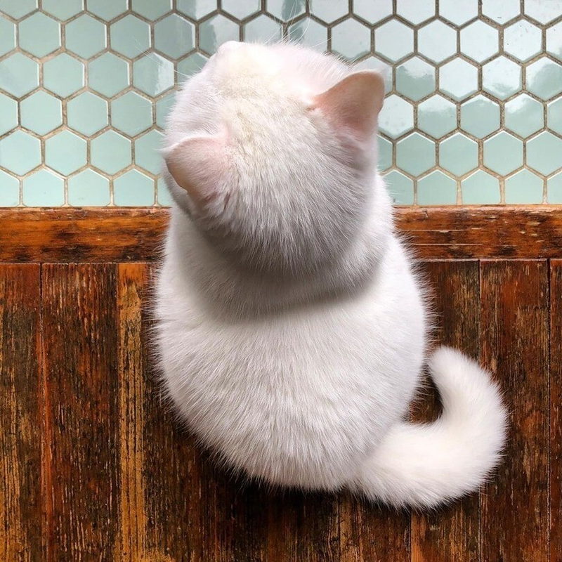 screenshot_2021_05_16_at_23_02_00