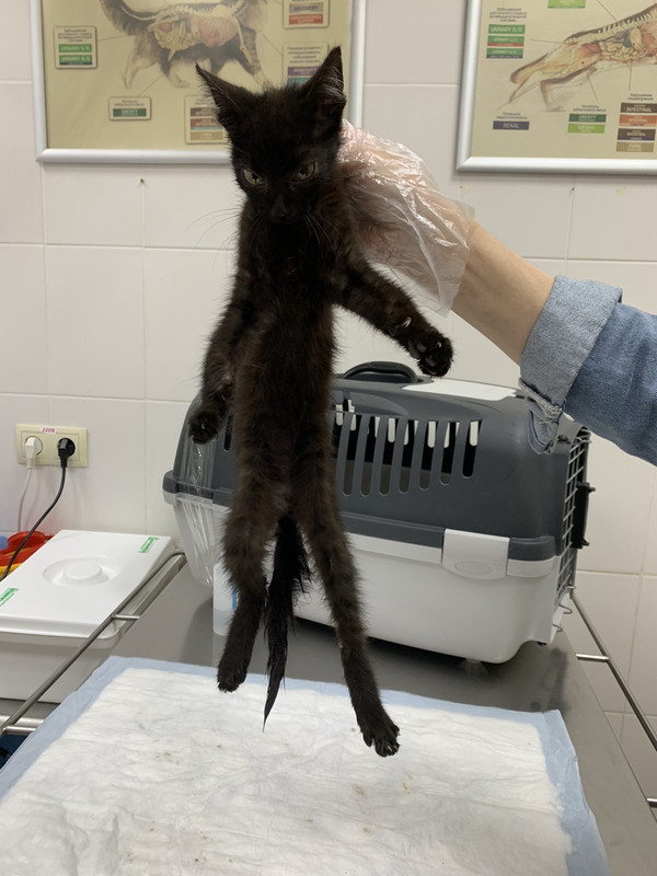 IMG-ad9ee9fd7ce17ae18a80226ed42bc93a-V