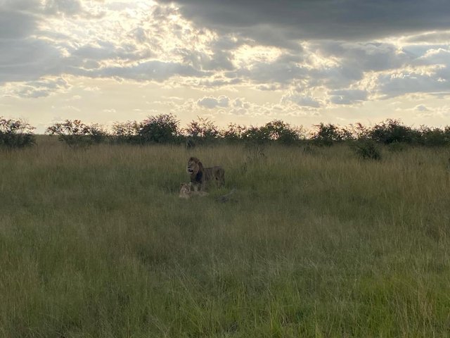 Nakuru - Masai Mara - 18 días por las tierras más remotas de Uganda y Kenya (8)