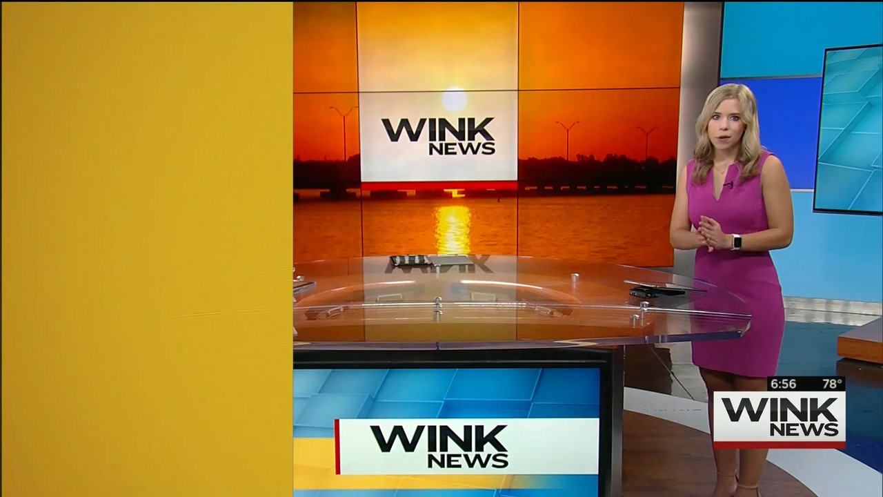 08.09 - 11.00.00 - WINK News @ 6 00AM Sunday..ts_snapshot_00.58.50.776