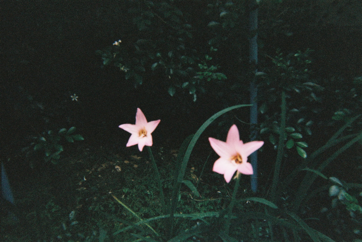 Fuji-05-resize