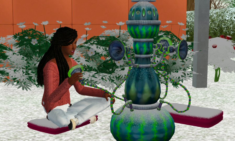 Sims2-EP9-RPC-2021-04-03-14-45-15-10