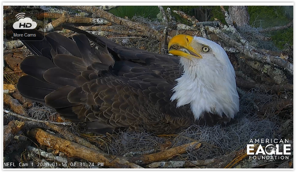 Screen Shot 01-16-20 at 08.32 PM 001