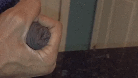 [Image: tumblr-pmhe2cl69-J1s6blav-540.gif]