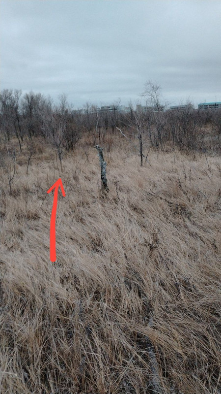 IMG 20251110 194445 967