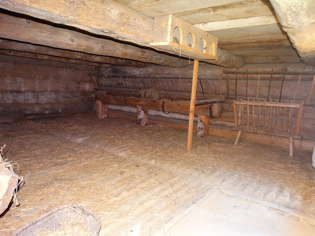 142 - DSC01370 (Milady)