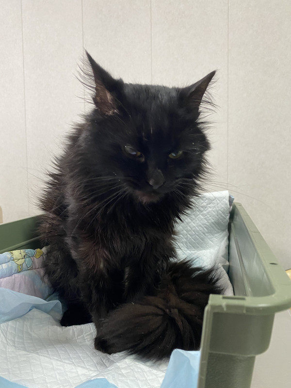 F3DCED3E-EEEC-48F4-A9BA-039D8C77424A