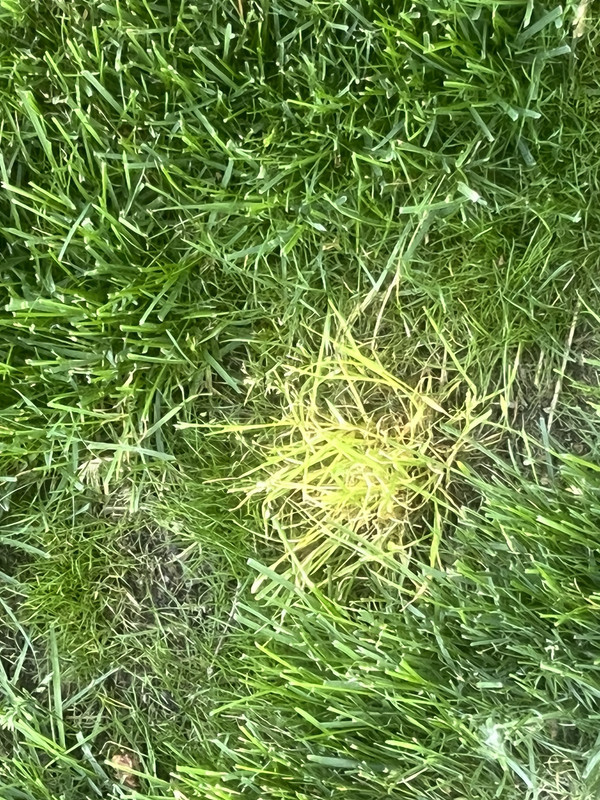 45D81C35-82E3-4A5F-9D34-6EE41E092306