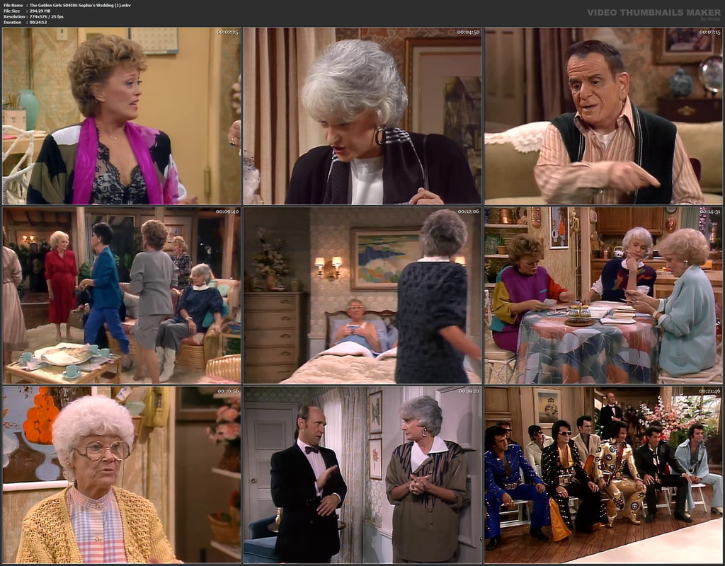 The Golden Girls S04E06 Sophia's Wedding (1).mkv