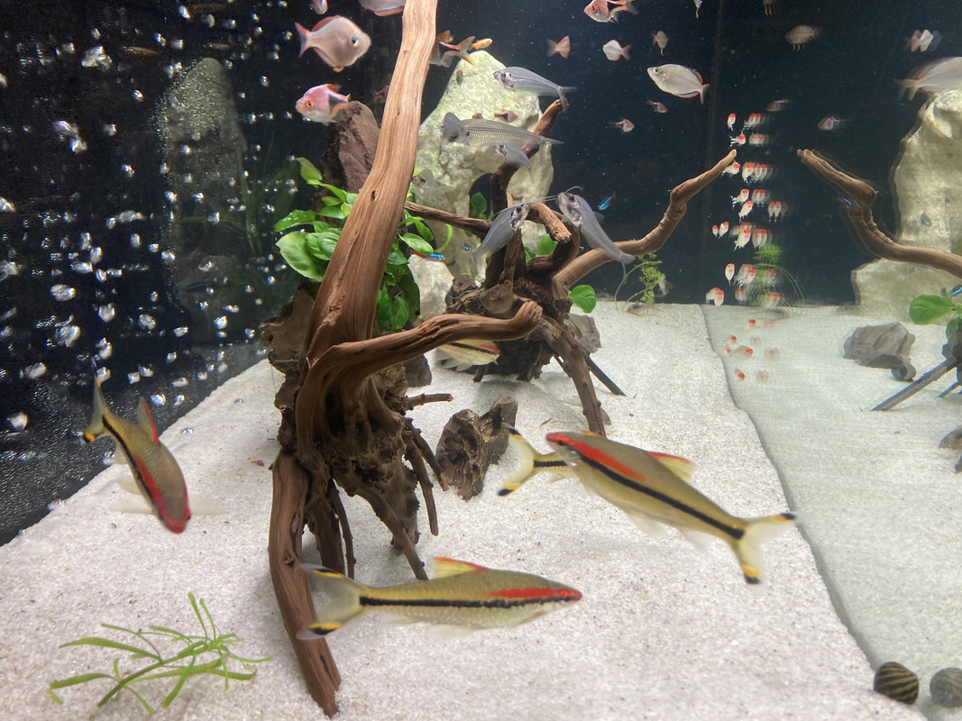 8E044646-829B-446D-B8FD-2C139D537E66