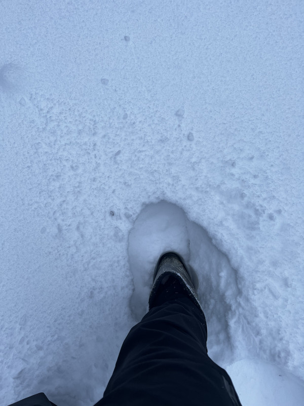 071A221A-615A-4E44-81BB-5F4743E24B30