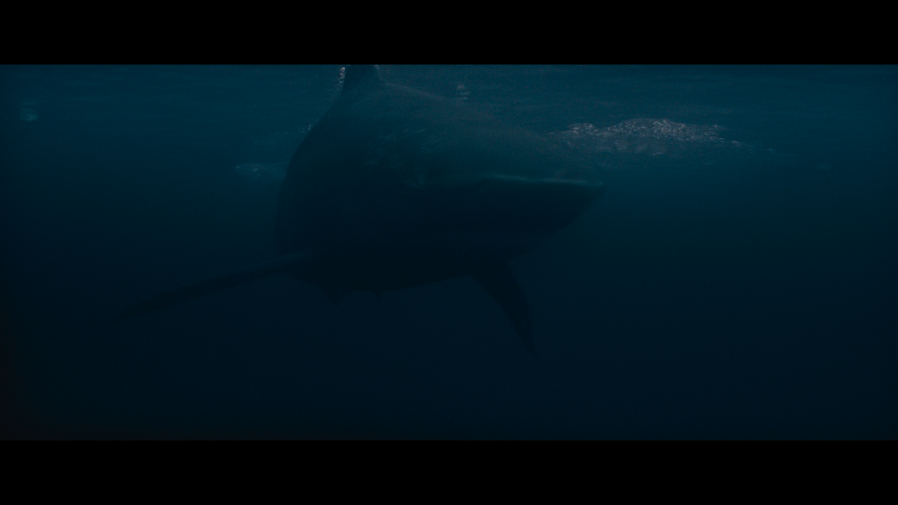 mpv shot0006