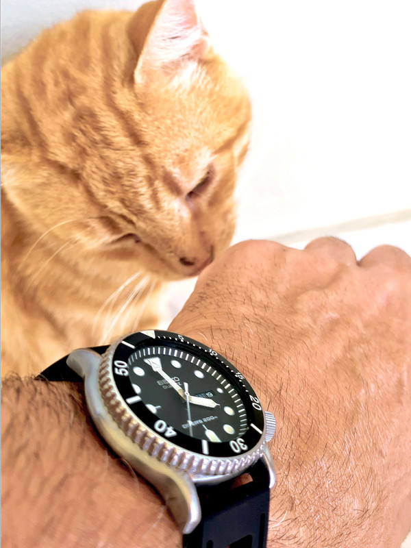 seiko_q_diver_ruby_155806_C2