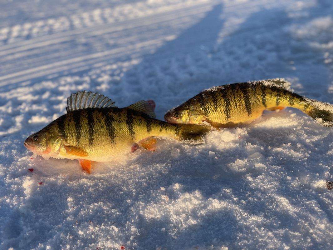 C03B0D35-65CF-457A-BCBD-B743778A2C60