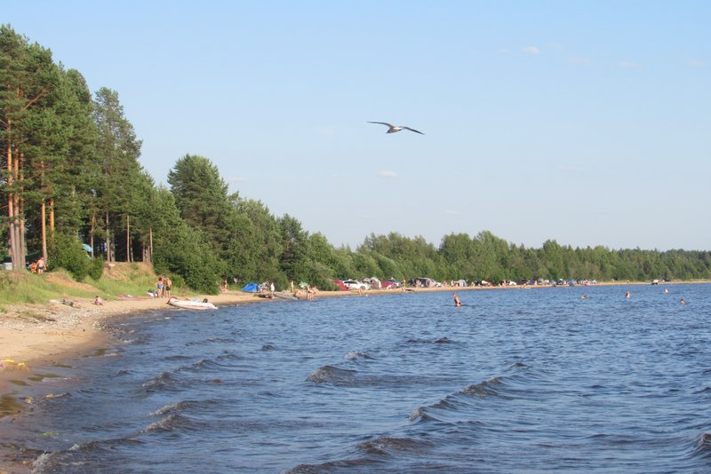 IMG-7160.jpg