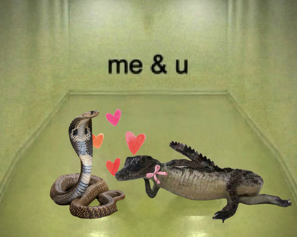 https://i.postimg.cc/1zX8DYM4/8D0k-HXGFWY.jpg