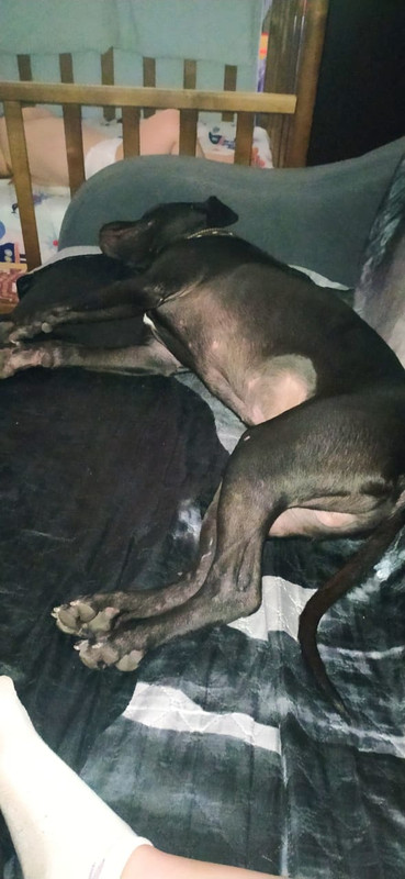 29D62D31-296C-4D19-99B8-4E7C2C02BD6A