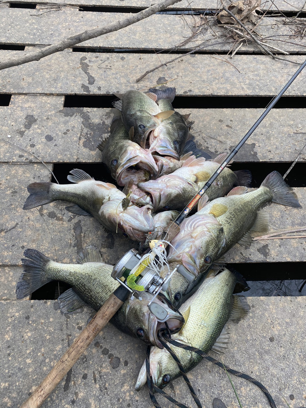 655A0733-CDB6-4D09-9491-6295D07438B3