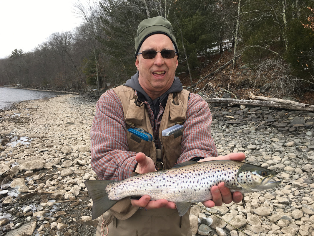 BBBB31F4-6554-45C1-9DEB-932EEE1C408F