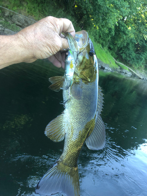 9D39892E-0199-4087-A370-9C83EF714618