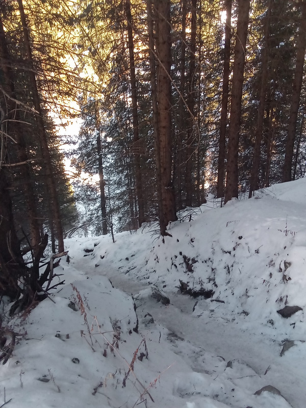 IMG-20221113-123358.jpg