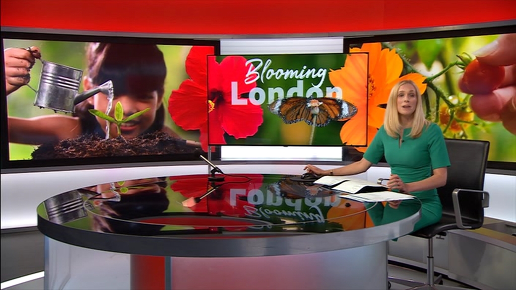 BBC London News_20210816_18301900.ts_snapshot_23.36.409