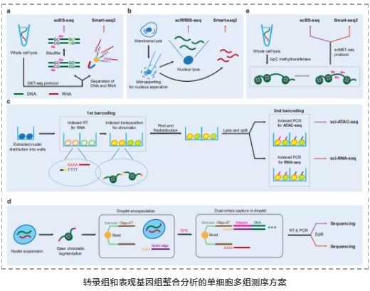 单细胞多组学研究-4.png
